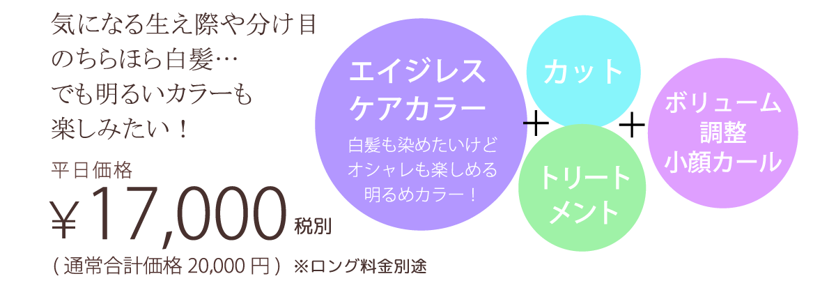 気になる生え際や分け目<br>のちらほら白髪。でも明るいカラーも楽しみたい! ￥17,000（税別）（通常合計価格￥20,000（税別））※ロング料金別途 | メニューの内容…しなやかトリートメント（柔らかで潤いのある髪に） ＋ カット ＋ カラー
